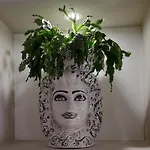 La Casa Di Luzzo 公寓 阿格里真托