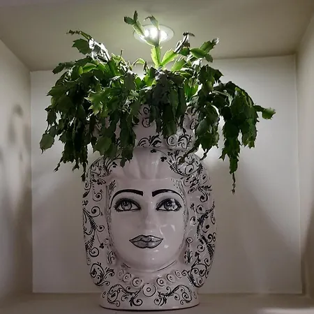 La Casa Di Luzzo Lejlighed Agrigento